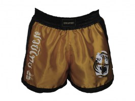 Bermuda de Muay Thai Dourado com Preto2